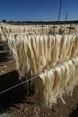 Sisal fibers drying in sun,Madagascar