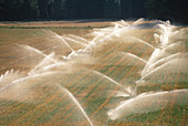 Irrigation field near Winthrop,Washington