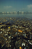 Rubbish on shoreline,Los Angeles Bay