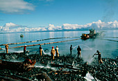 Clean-up operation after Exxon Valdez oil-spill