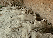 Victims of Mt. Vesuvius eruption