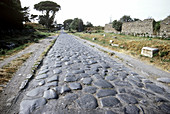 Cobblestones of the Appian Way