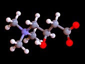 L-Carnitine food supplement molecule