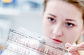 Scientist holding dna sequencing results
