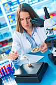 Lab technician weighing food samples