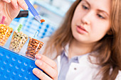 Lab technician testing legumes in lab