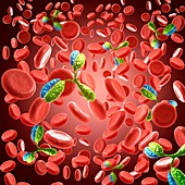 Antibody 1IGT,illustration