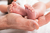 Parent holding newborn baby's feet