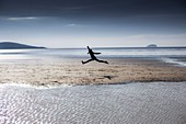 Person leaping on a beach