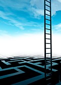 Ladder and maze,illustration