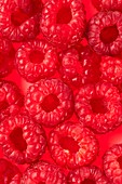 Raspberries full frame