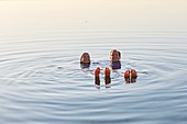 Couple floating in the sea
