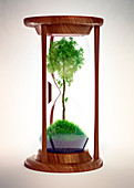 Hour glass with tree inside,illustration