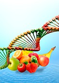 Fresh food and DNA