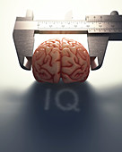 Human brain being measured