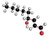 4-Hydroxynonenal molecule,illustration