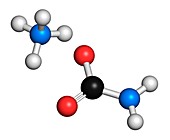 Ammonium carbamate molecule,illustration