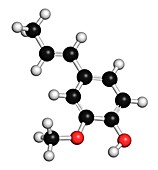 Isoeugenol molecule,illustration