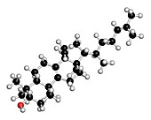 Lanosterol molecule,illustration