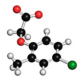 MCPA herbicide molecule,illustration