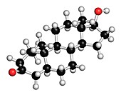 Mesterolone molecule,illustration