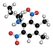 Pendimethalin molecule,illustration