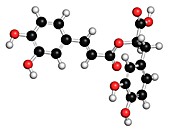 Rosmarinic acid antioxidant,illustration