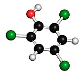 Trichlorophenol molecule,illustration