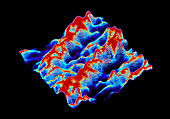 Coloured scanning tunnelling micrograph of DNA
