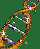DNA Puzzle