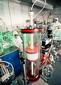 Apparatus for production of Hepatitis B vaccine