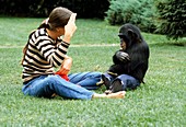 Joyce Butler with Nim the chimpanzee