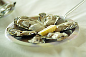 A Plate of Oysters