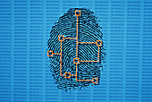 Computer graphic of features marked on fingerprint
