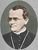 Gregor Mendel