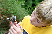 Boy Looking at a Moth