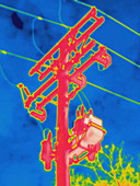 Thermogram of electrical wires