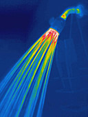 Thermogram of a shower head