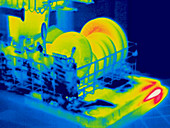 A thermogram of a dishwasher with dishes