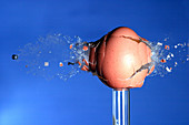 Egg Hit By A Bullet