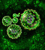 Illustration of SARS virus