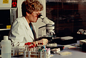 Virus antibody blood-test by a medical technician