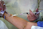 Nurse Administering IV