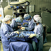 Surgeons Performing a Laparotomy