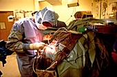 Neurosurgeon at work in operating theatre