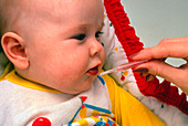 Baby receiving an oral polio vaccination