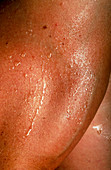 Close-up of flexed arm of an athletic young man