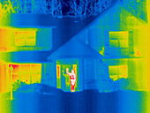 A thermogram of a person waving in house