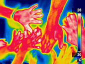 A thermogram of a pile of human hands