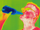 Thermogram of a Man Drinking